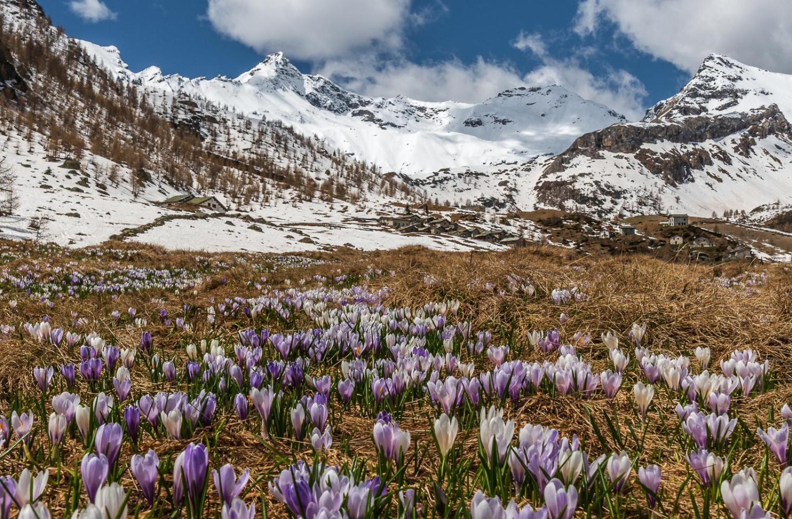 Апартаменты San Giuan, Ad Un Passo Dal Centro Киавенна Экстерьер фото